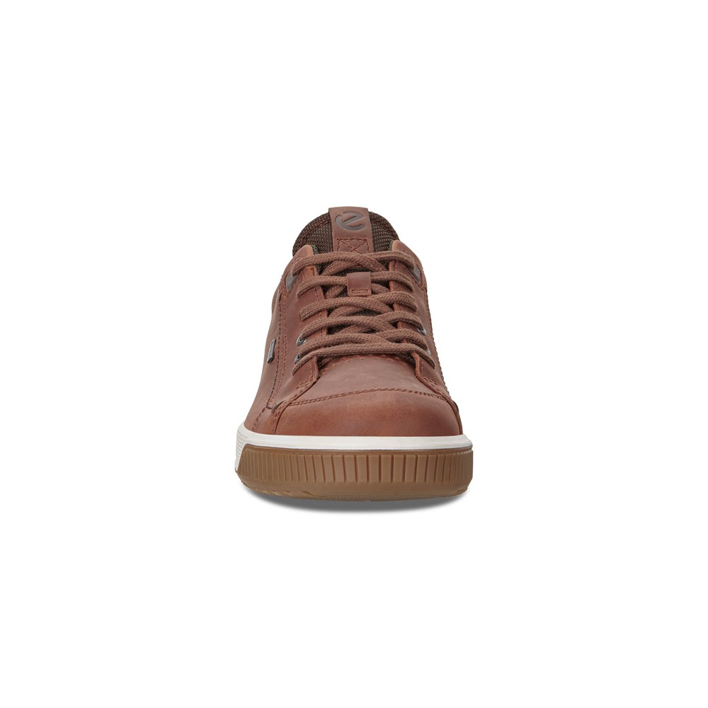 ECCO Mens Sneakers Brown - Byway Treds - NYS-560134